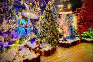 Vetralla - Il Regno di Babbo Natale