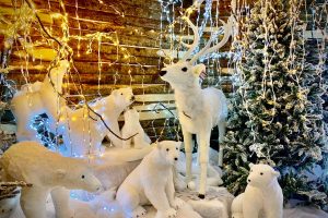 Vetralla - Il Regno di Babbo Natale