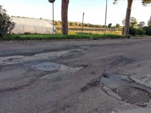 Viale dei Pini a Pescia Romana
