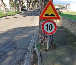 Viale dei Pini a Pescia Romana