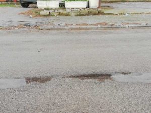 Viale dei Pini a Pescia Romana