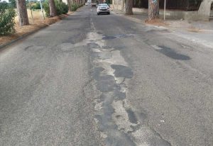 Viale dei Pini a Pescia Romana