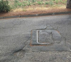 Viale dei Pini a Pescia Romana