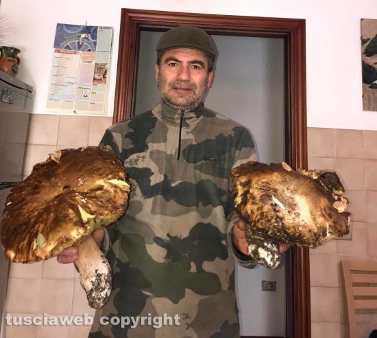 Valentano - I porcini giganti raccolti da Sante Saraconi
