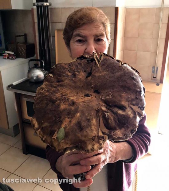 Valentano - I porcini giganti raccolti da Sante Saraconi