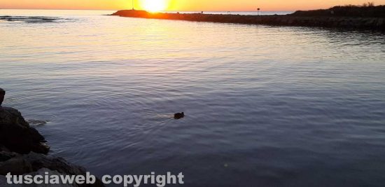 Tramonto a Montalto di Castro