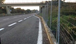Orte - Ss 675