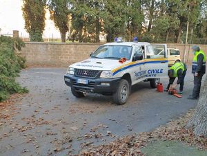 Acquapendente - Albero cade a campo Boario