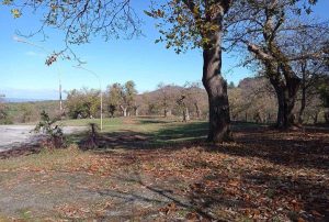 Viterbo - Parco del Colle a San Martino al Cimino