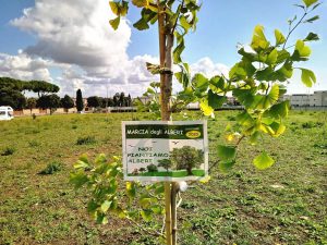 Ladispoli - Quinta edizione della Marcia degli alberi