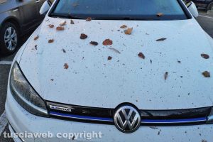 Viterbo - Le auto in sosta in via I Maggio