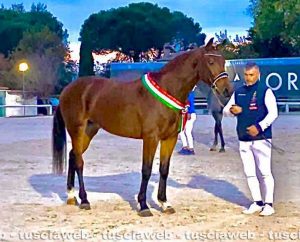 L'asd le Doganelle sul gradino più alto del podio alla finale italiana del circuito allevatoriale Mipaaf