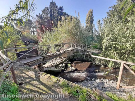 Viterbo - Il ponte di legno che porta al Camillario
