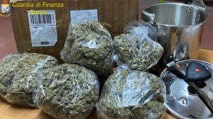 Guardia di finanza - Marijuana nascosta in pentole a pressione