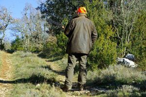 Una battuta di caccia