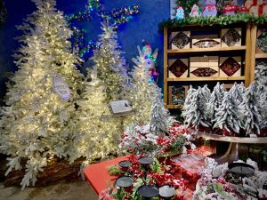 Vetralla - Il Regno di Babbo Natale 