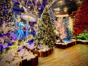 Vetralla - Il Regno di Babbo Natale 