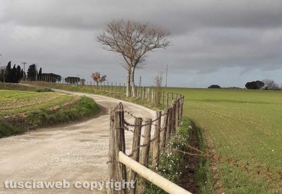Paesaggio di campagna