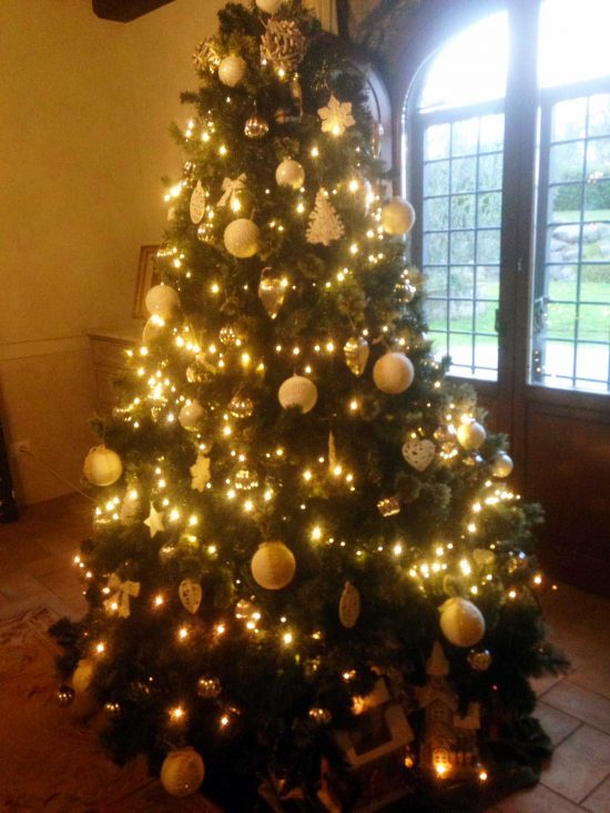L'albero di Natale della speranza