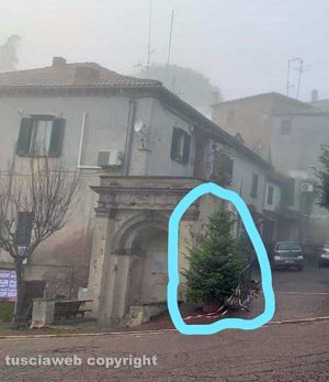 Sipicciano - L'albero di Natale spoglio