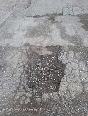 Viterbo - Buche, erba alta e incuria in zona Riello