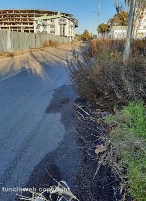 Viterbo - Buche, erba alta e incuria in zona Riello