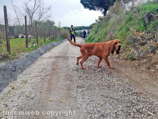 Viterbo - Drugo il cane dei carabinieri
