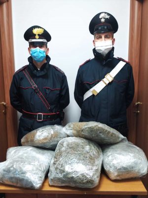 Monterosi - La droga sequestrata dai carabinieri