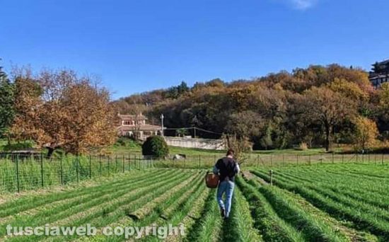 Montefiascone - Leonardo Gatti