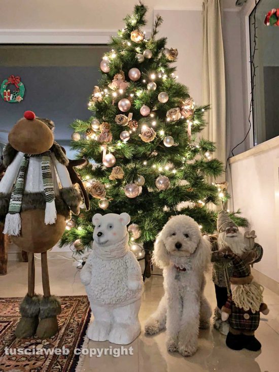 Viterbo - Il Natale di Pongo e i suoi amici