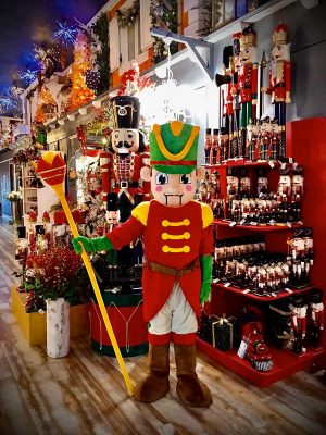 Il Regno di Babbo Natale