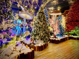 Il Regno di Babbo Natale