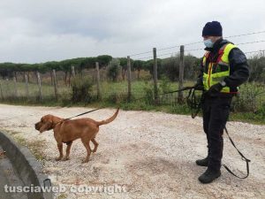 Carabinieri - Il cane molecolare Druido