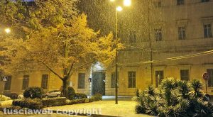 Bologna - Prima nevicata