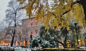 Bologna - Prima nevicata