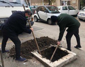 Il circolo locale di Fratelli d'Italia dona un albero alla città