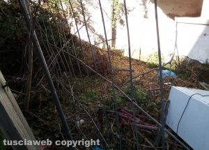 Viterbo - Incuria all'ex-lavatoio di via Signorelli