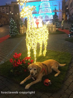 Da questa bella città... Buon Natale!!