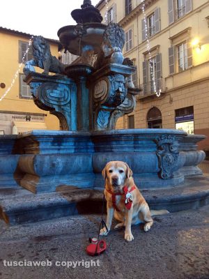 Da questa bella città... Buon Natale!!