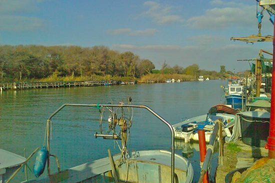 Montalto di Castro - Il fiume Fiora