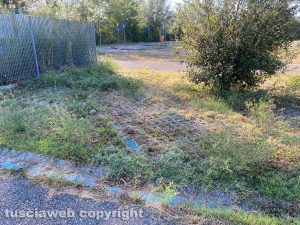 Orte - L'erba alta al parcheggio della stazione