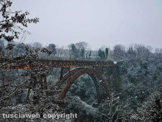 Neve a Ronciglione - Foto di una lettrice, Federica Guarino