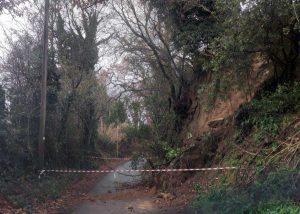 Orte - Pianta pericolante a via Cappuccini