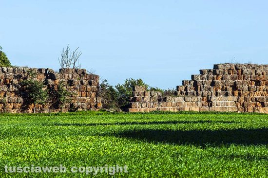 Fabrica di Roma - Cinta muraria di Falerii Novi