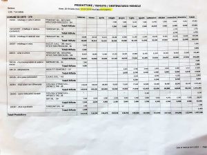Orte - I dati della raccolta differenziata 2019