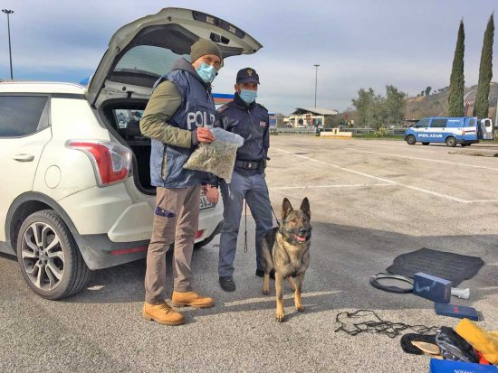 Terni - Polizia - La marijuana sequestrata