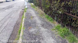 Viterbo - Quartiere Carmine - Le strade dissestate