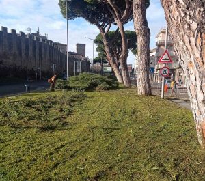 Lo sfalcio delle aiuole in piazzale Gramsci