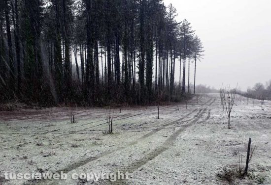 Nevica sui Cimini e sulla Cimina