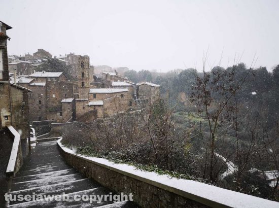 Neve a Ronciglione - Foto di una lettrice, Federica Guarino